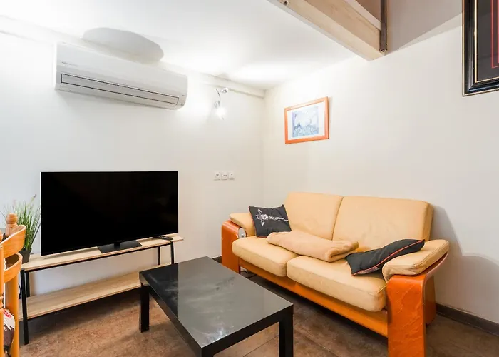 公寓 Loft 25 M2 Au Calme